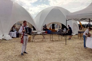 День поля в Николаевской обл. 2017