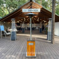 Газовый обогреватель